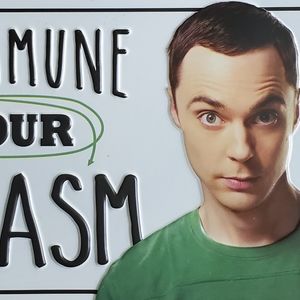 Big bang theory sign